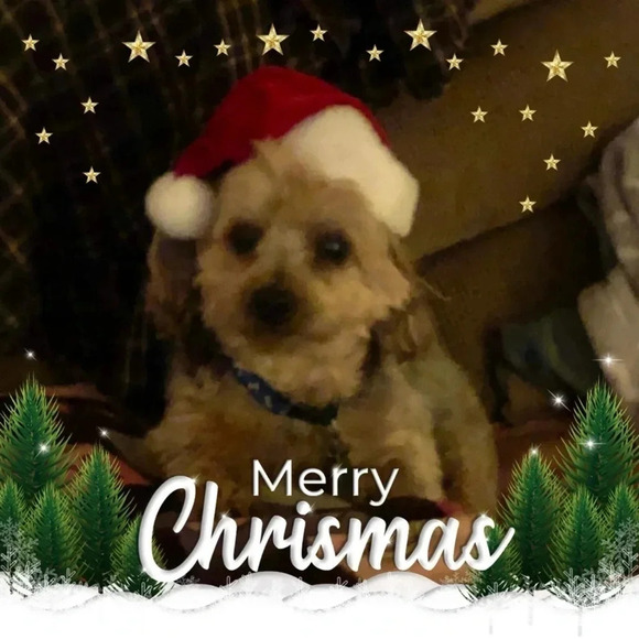 ALL OFFERS ARE WELCOME.….PLEASE READ BELOW 👇🏼 - Picture 2 of 16